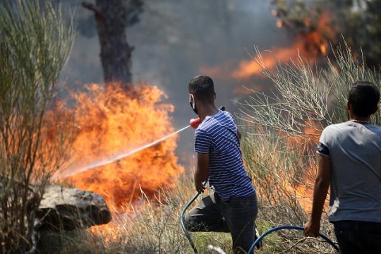 ORMANLARIMIZ YANIYOR CANIMIZ ACIYOR…